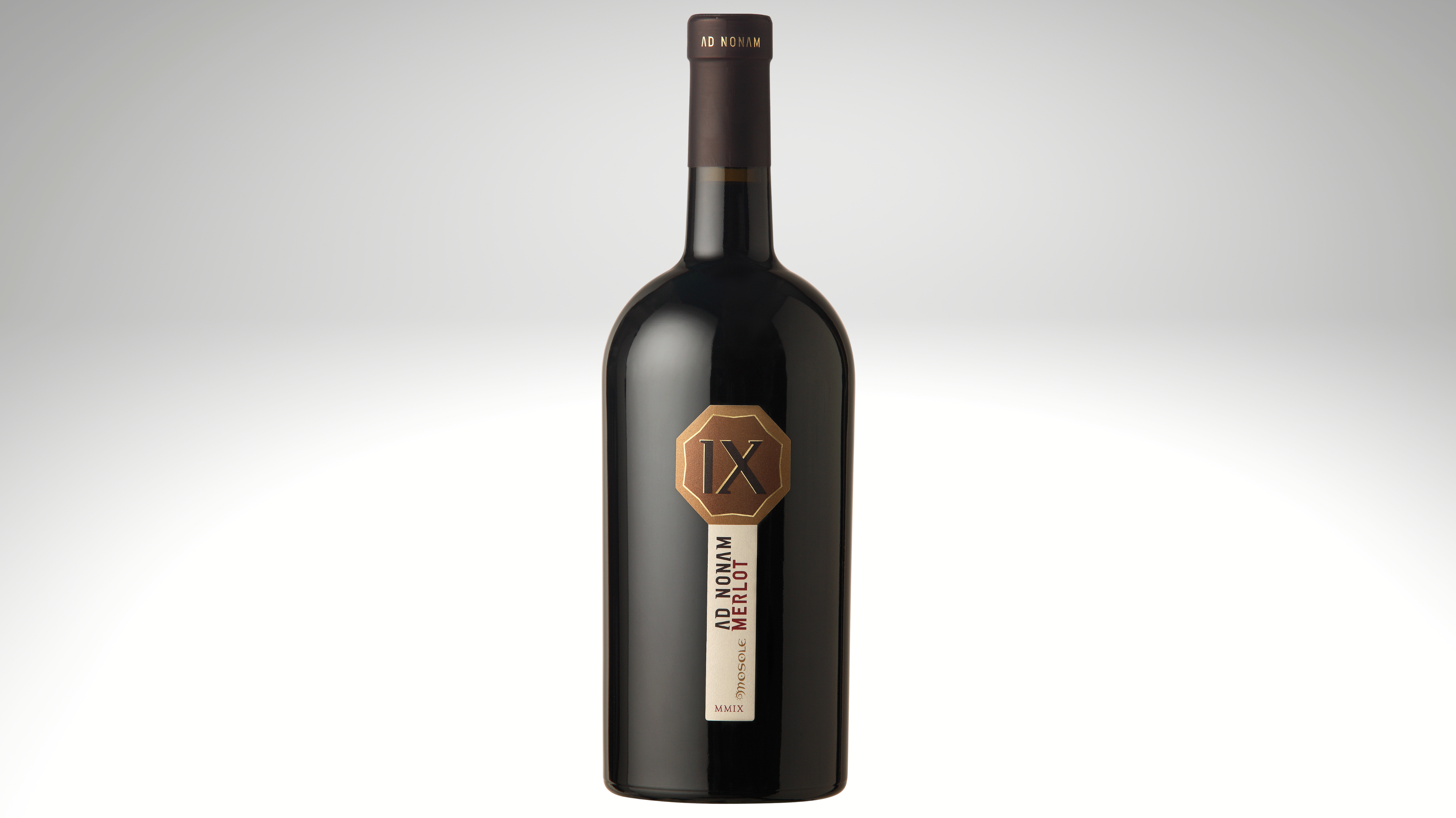 Ad Nonam Merlot 2019 DOC VENEZIA SELEZIONE